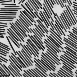 Gold Nanoparticles代理(图1)