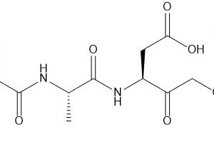 Focus Biomolecules(图11)
