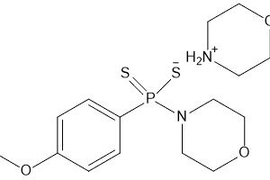 Focus Biomolecules(图9)