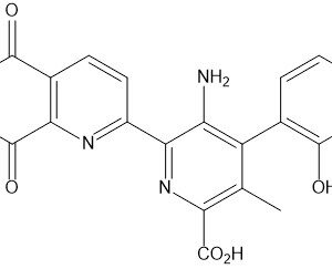 Focus Biomolecules(图7)