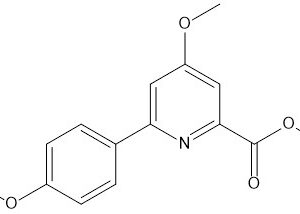 Focus Biomolecules(图10)